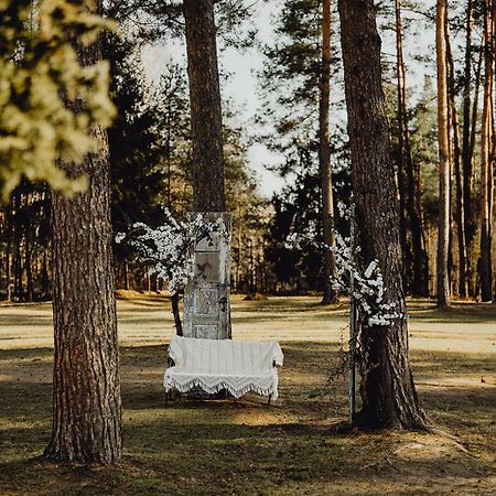 Ploski Chutor Nad Narwia Bed & Breakfast エクステリア 写真